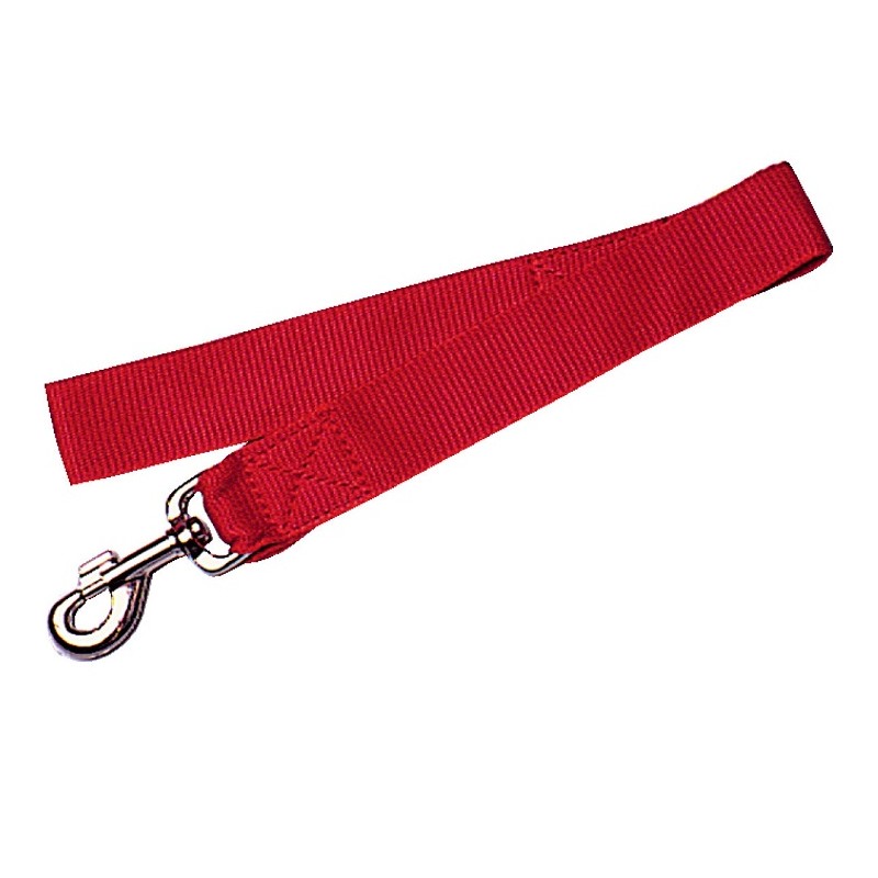 Laisse nylon UNI -40mm-60cm