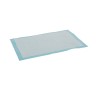 Tapis Education Chiot -40X60CM X30