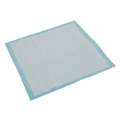 TAPIS EDUCATION CHIOT -60X60CM X30