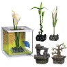 DECOR BONZAI POUR BETTA KIT