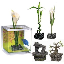 DECOR ARUM POUR BETTA KIT