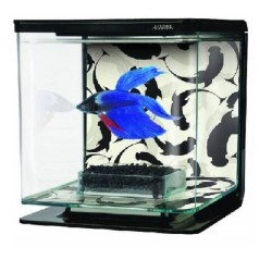 BETTA KIT "YING YANG" MARINA