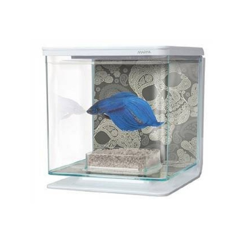 BETTA KIT "TETE DE MORT" MARINA