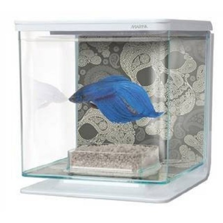 BETTA KIT "TETE DE MORT" MARINA