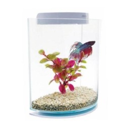 BETTA KIT "HALF MOON" MARINA