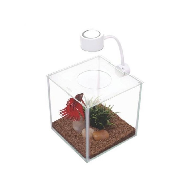 BETTA KIT CUBUS EN VERRE+LED