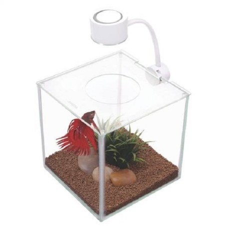 BETTA KIT CUBUS EN VERRE+LED