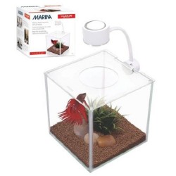 BETTA KIT CUBUS EN VERRE+LED