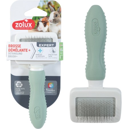 Brosse carde rongeur