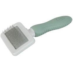 Brosse carde rongeur