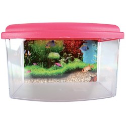 Aquarium TRAVEL BOX 2