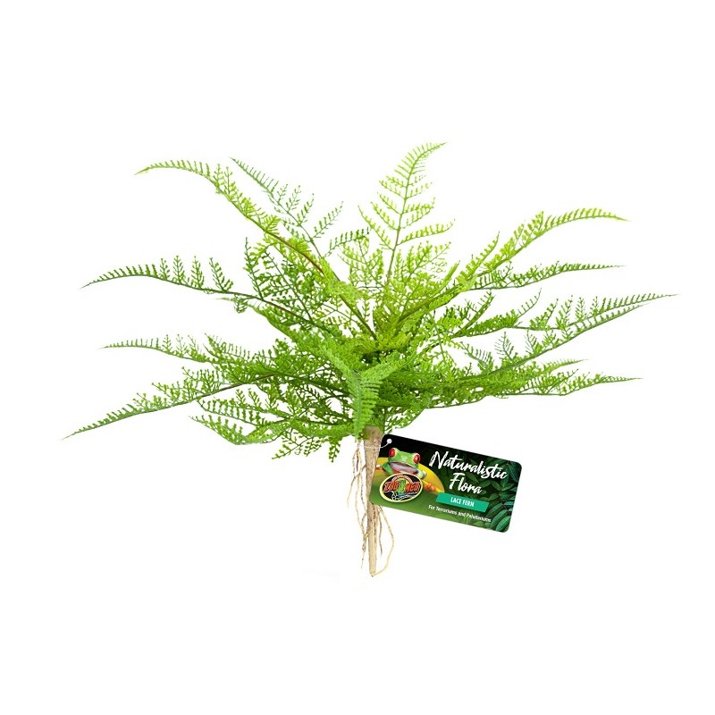 PLANTE ARTIFICELLE TERRARIUM - LACE FERN