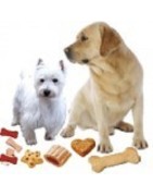 Friandises, biscuits chien